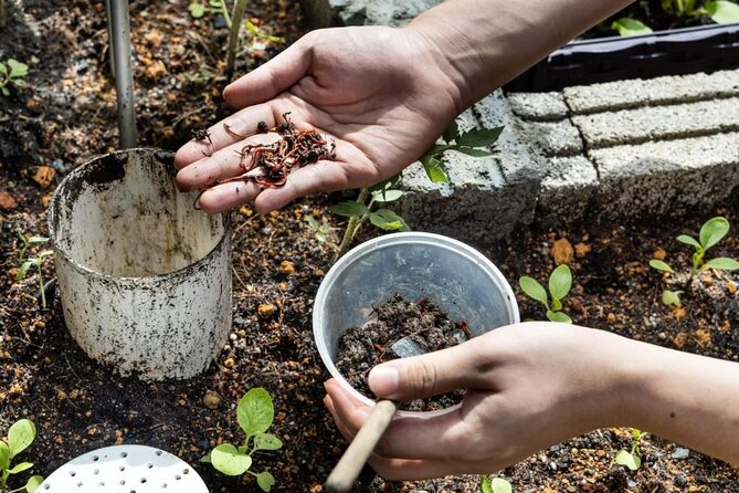 Pokhara: Organic Farm Tour and Cooking Class at Durku - Harvesting And Farm Prep: The Farm-To-Table Moment
