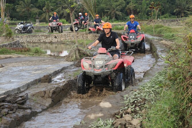 Private Balinese Cooking Class and Balinese house -All inclusive - Sacred Monkey Forest Sanctuary Visit: Time Well Spent
