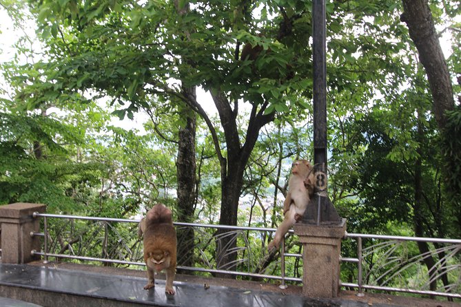 Private food Tour + Sightseeing +Thai Cooking class - Sightseeing plus Buddhism talk: why it pairs well with food