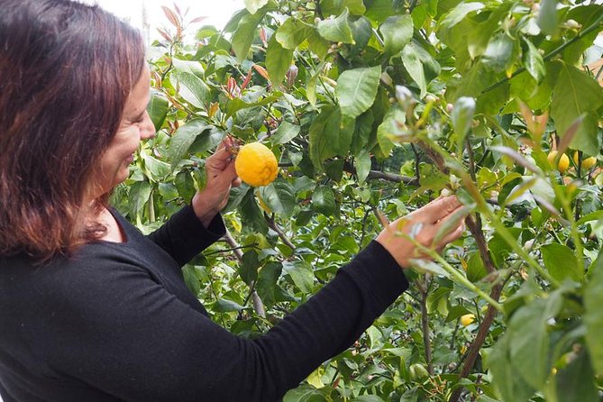Private Greek Cooking Class in Athens-Learn to Cook with Angelina - Private format: why a personal class feels different