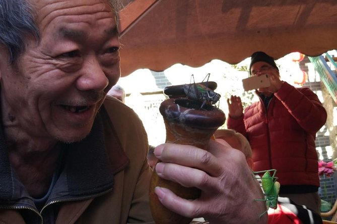 Private Hutong Culture Tour with Dumpling Cooking Class plus Cricket Fighting Game - Rickshaw through Beijing’s hutongs: the alley view you can’t get from a bus