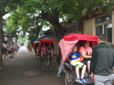 Private Hutong Culture Tour with Dumpling Cooking Class plus Cricket Fighting Game - Confucius Temple and Guozijian Museum: trees, steles, and quiet context