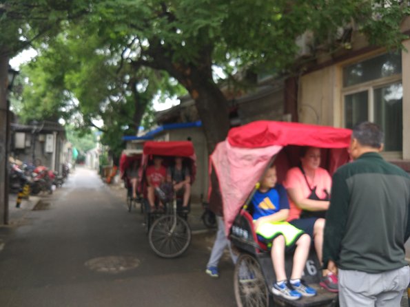 Private Hutong Culture Tour with Dumpling Cooking Class plus Cricket Fighting Game - Confucius Temple and Guozijian Museum: trees, steles, and quiet context