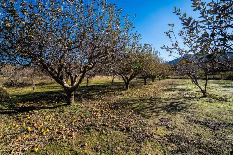 Private Jeep Tour to Psiloritis Mountain & Cooking Lesson - Oropédio Nídas and the high-altitude photo stops