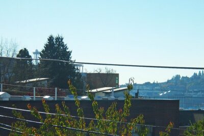 Private Seattle Cooking Class with a Chef in Her Home - Seafood Sourcing and Why It Changes the Meal