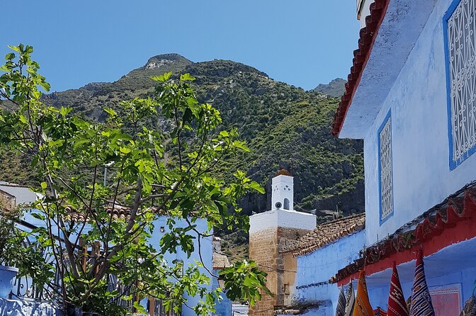 Private Tagine Cooking Class in Chefchaouen with Lunch - Chicken tajine and kefta-style tajine: what you’re really learning