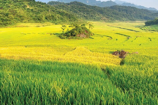 Pu Luong 3-Day Adventure: Trekking, Cycling & Local Cooking Class - Key things that make this Pu Luong adventure worth your time