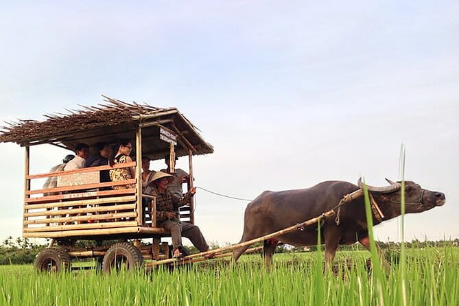 Pu Luong 3-Day Adventure: Trekking, Cycling & Local Cooking Class - Hanoi or Ninh Binh pickup and the long drive: what to expect before you even hike