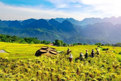 Pu Luong 3-Day Adventure: Trekking, Cycling & Local Cooking Class - Day 1 in Pu Luong Nature Reserve: trekking where village life is close by