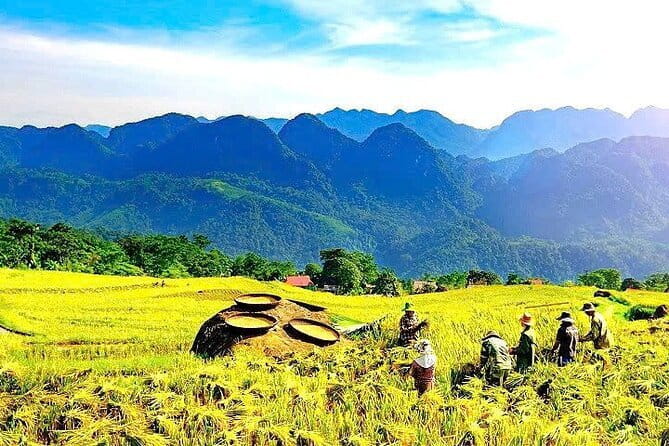 Pu Luong Day Tour: Trekking Villages, Bamboo Rafting & Waterfall - Key highlights you’ll feel in real life