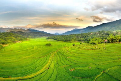 Pu Luong Day Tour: Trekking Villages, Bamboo Rafting & Waterfall - What you get for $55: small-group culture, rafting, and a waterfall
