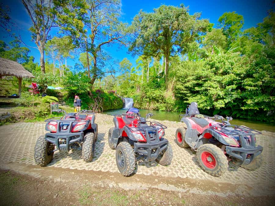 Quad ride, waterfalls & aunthentic cooking class in munduk - Coffee and Tea Tasting With Hydrangea Views