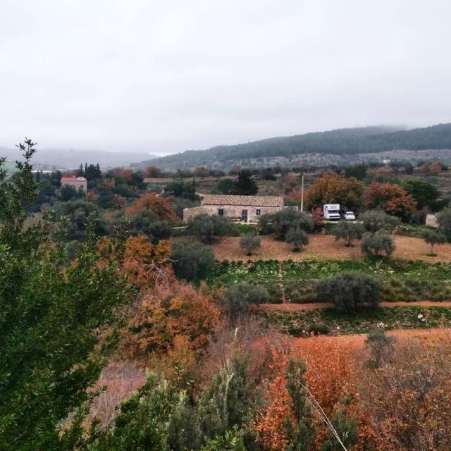 Ragusa Countryside Home Cooking Class & Meal - Practical Tips to Make the Day Go Smoothly