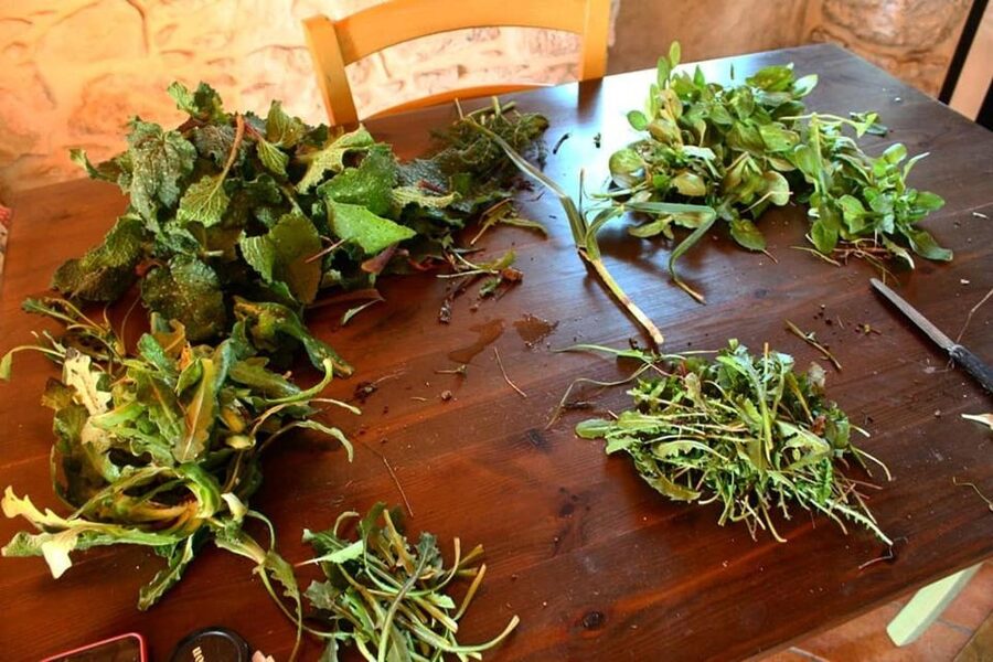 Ragusa Countryside Home Cooking Class & Meal - A Family Home Cooking Class in Chiaramonte Gulfi Country