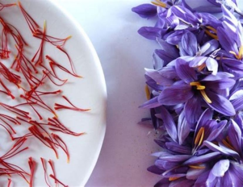 Recco: Cooking Class with Market Visit and Sea Views - The Three-Course Meal You’ll Make: Gnocchetti, Trenette, Tuna, and More