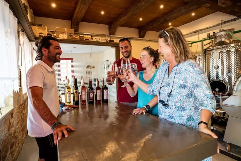 Rhodes: Cooking Lesson and Wine Tasting with Lunch - The cooking lesson: tzatziki, eggplant salad, dolmadakia, and cheese pies