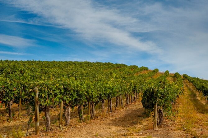 Rhodes Wine & Food Tour: 10 Meal Course Lunch, Wine Tasting, Cooking Class - Wine Tasting with Jason: How the Teaching Makes the Pour Matter