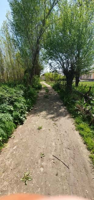 Samarkand: Village Tour with Plov Cooking Class & Home Visit - Key things I’d circle before you book