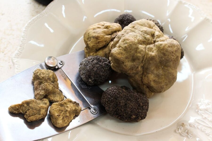 San Gimignano: Truffle Cooking Class with Wine Tasting - The traditional Tuscan meal: planning for a real sit-down portion