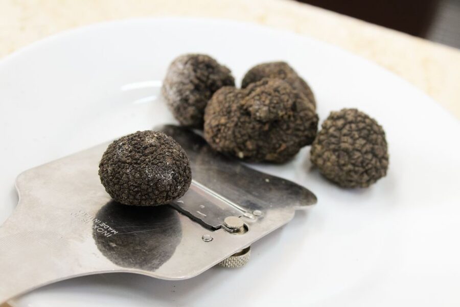 San Gimignano: Truffle Cooking Class with Wine Tasting - Truffle cooking lesson: from where truffles grow to what to do with them