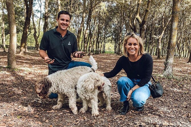 San Gimignano Truffle Hunt & Truffle Cooking Class - Price and value: what $379.30 includes (and why it matters)