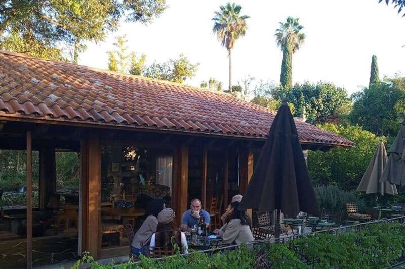 San Miguel de Allende: Mexican Cooking Class | Mole & Salsas - Practical Tips for Your 3-Hour Class in Centro