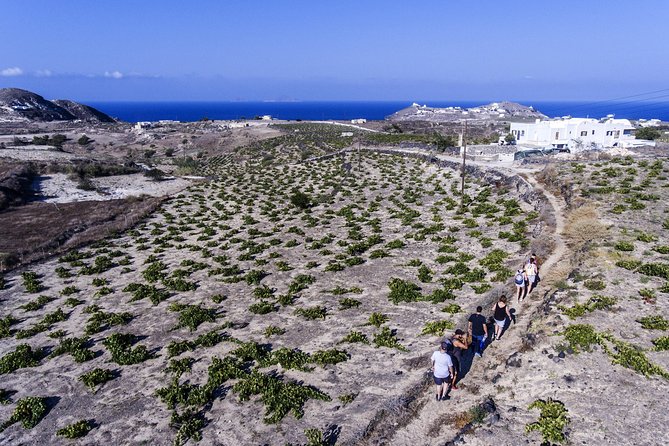 Santorini : Cooking Class & Easy Hike - Comfort Checklist: Shoes, Sun Protection, Water, and Dry Clothes