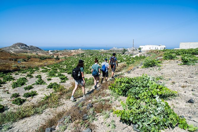 Santorini : Cooking Class & Easy Hike - Who This Tour Fits Best (And Who Might Skip It)