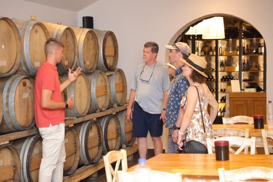 Santorini: Vineyard and Winery Tour with Cooking Class - Where the tour starts: pickup logistics and a small-group pace