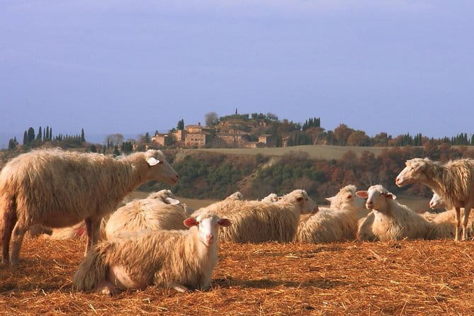 Semi-Private Gluten-Free Cooking Class in Florence - Price and value: is $114.65 worth it?