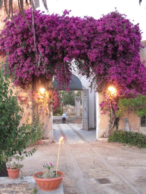 Sicilian cooking class in the historic baglio Florio Adamo - The historic baglio Florio Adamo kitchen: why it feels so real