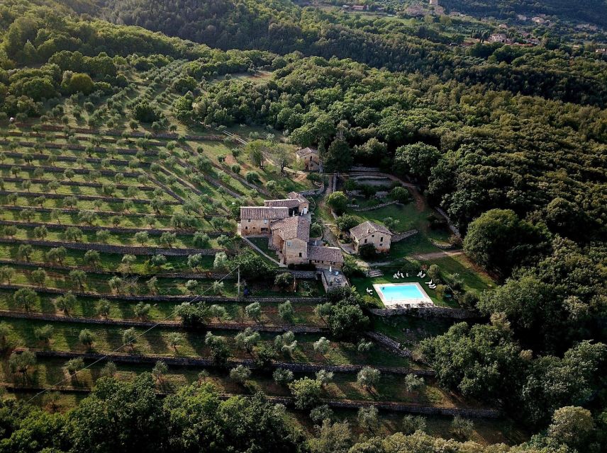 Siena countryside: cooking class in a real Tuscan farmhouse - Hosts and the vibe: small-group energy when the schedule is light