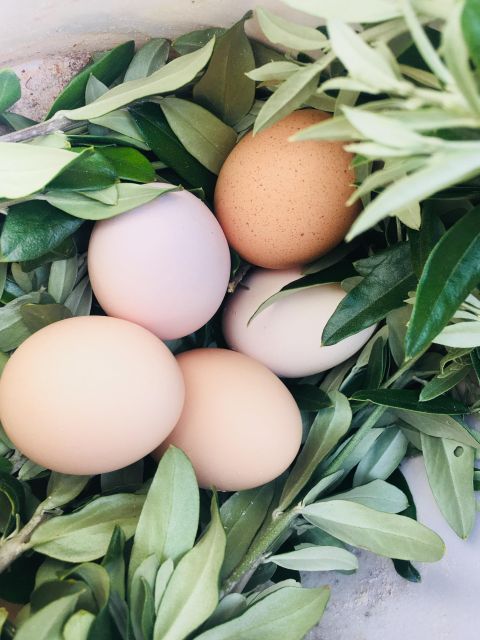 Siena countryside: cooking class in a real Tuscan farmhouse - Price and value for a 4-hour, hands-on Tuscany day