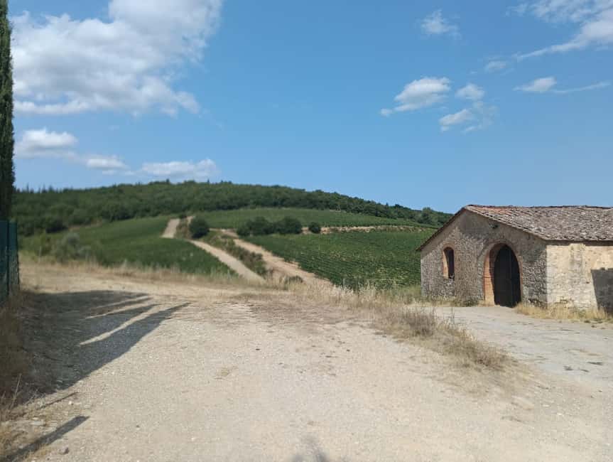 Siena: Small-group Cooking Class in a Chianti Farm - Meeting at the Farmhouse Entrance: First Impressions That Matter