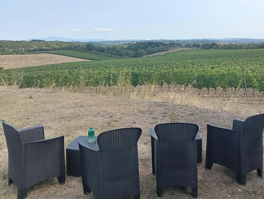 Siena: Small-group Cooking Class in a Chianti Farm - The Meal You Made: Lunch in the Chianti Hills