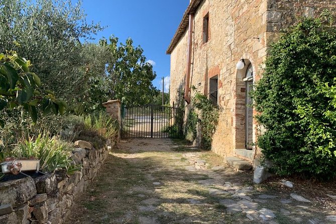 Siena: Small group Cooking Class in Chianti Farmhouse - Who This Chianti Class Is Best For