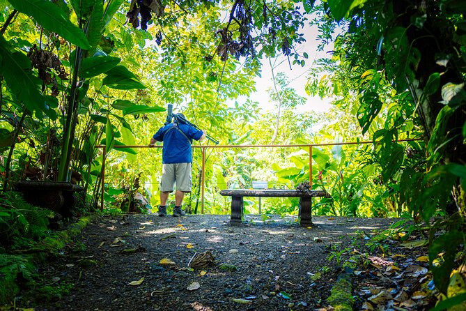 Sloth Tour in La Fortuna and Tortillas Cooking Class - Sloth Spotting on Las Mariolas Trail: What the Walk Feels Like