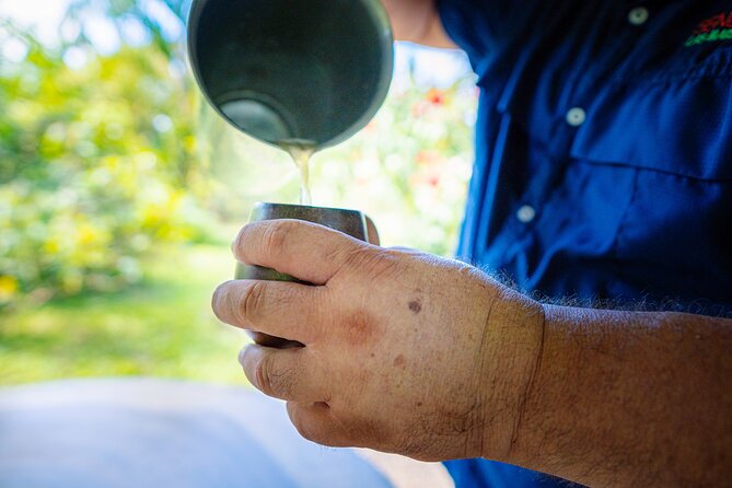 Sloth Tour in La Fortuna and Tortillas Cooking Class - Price and Value: Why $38 Feels Reasonable Here