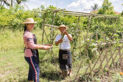 Small-Group Farm Tour & Balinese Cooking Class in Ubud with Kadek - The 30–45 Minute Farm Walk With Kadek: Picking Spices the Real Way