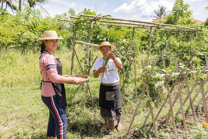 Small-Group Farm Tour & Balinese Cooking Class in Ubud with Kadek - The 30–45 Minute Farm Walk With Kadek: Picking Spices the Real Way
