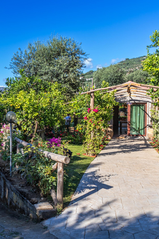 Sorrento Cooking Class: Taste the Tradition feel the Love - Getting to Vallone dei Mulini and the Cucinammore Minivan