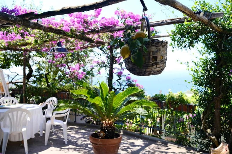 Sorrento: Marì Cooking Class in a Family Farm w/ Coast View - Meet Marì and the Family: Garden-to-Table Starts Before Cooking