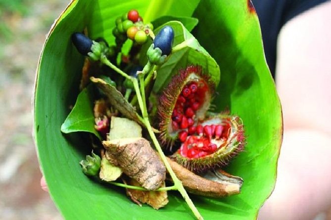 Spice Tour & Cooking Class in Zanzibar - Why This Zanzibar Spice Tour Works So Well