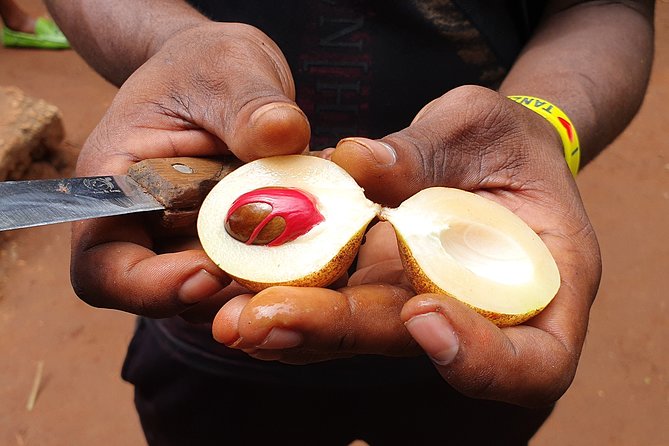 Spice Tour & Cooking Class in Zanzibar - Guides and Chef Talent: Where the Experience Gets Its Personality
