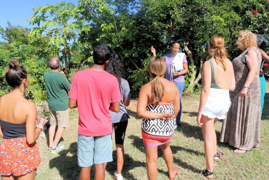 St. John's: Rum Cooking Class with 6 Rum Tastings - Sides that round out the meal: bacon-wrapped plantains, red beans and rice, garden salad
