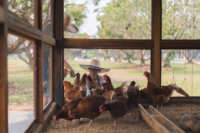 Sunset Thai Cooking with Grandma - Farm & Evening Feast - Food, drinks, and portions: plan for a full evening