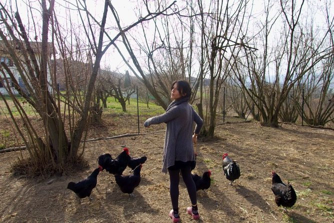 Sustainable Farm Tour & Northern Italian Cooking Class in Asti - Cooking Northern Italian Recipes Around Wild Herbs
