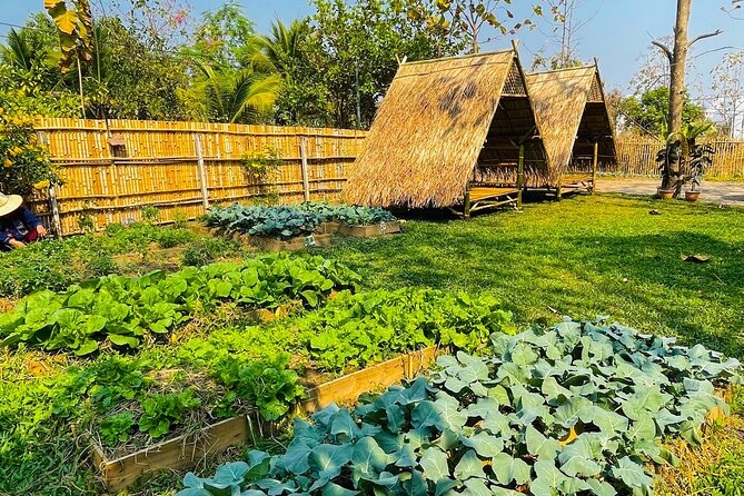 Team Aim Thai Cooking School (#1 Cooking Class in Chiang Mai) - Price and logistics: where $34.01 really fits