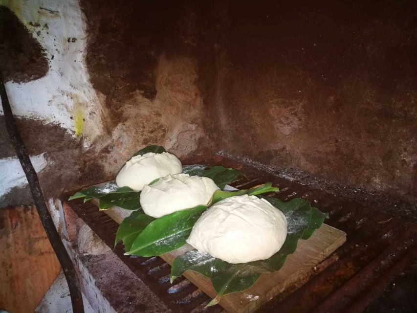 Terceira Island: Azores Cooking Class Experience - Terceira Pickup and the Drive to a Local Home with Sea Views