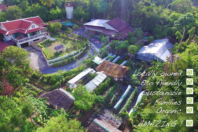 Thai Cooking Class | Since 2012 | Farm to Table - The core skills you’ll practice: curry paste, coconut cream, herbal drinks